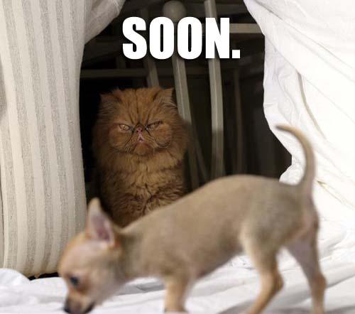 soon3.JPG