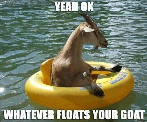 YeahOkWhatever-23069.jpg