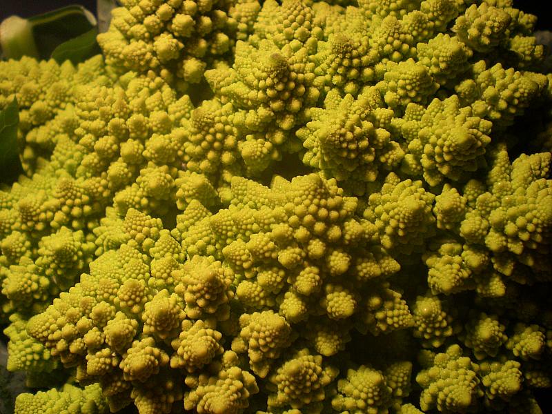 broccoli.jpg