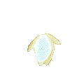WaterLily-01-june.gif