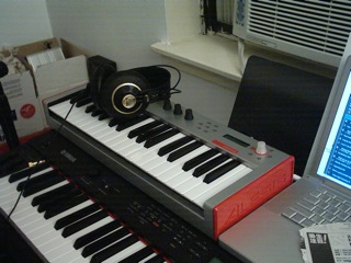 fits awesomely well on my p-250