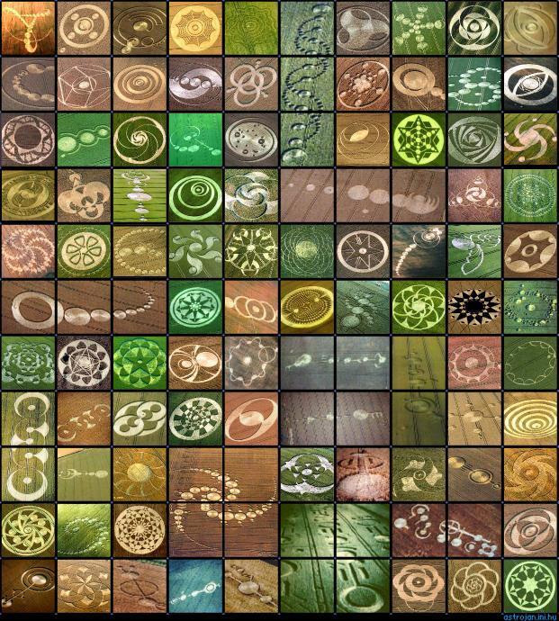 crop circles.jpg