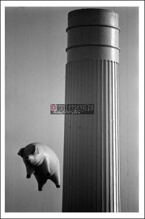 Pink-Floyd-Flying-Pig_180625.jpg