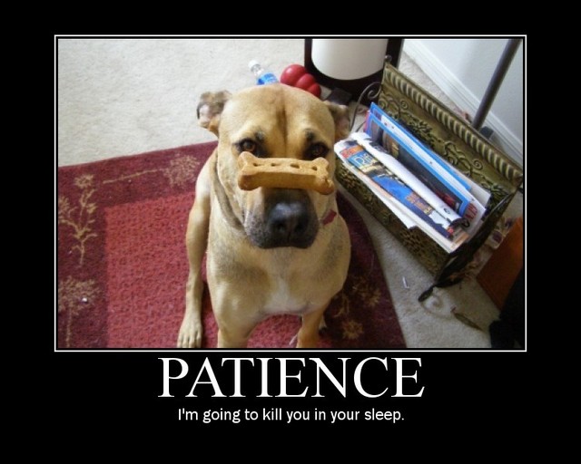 patience_is_a_virtue.jpg