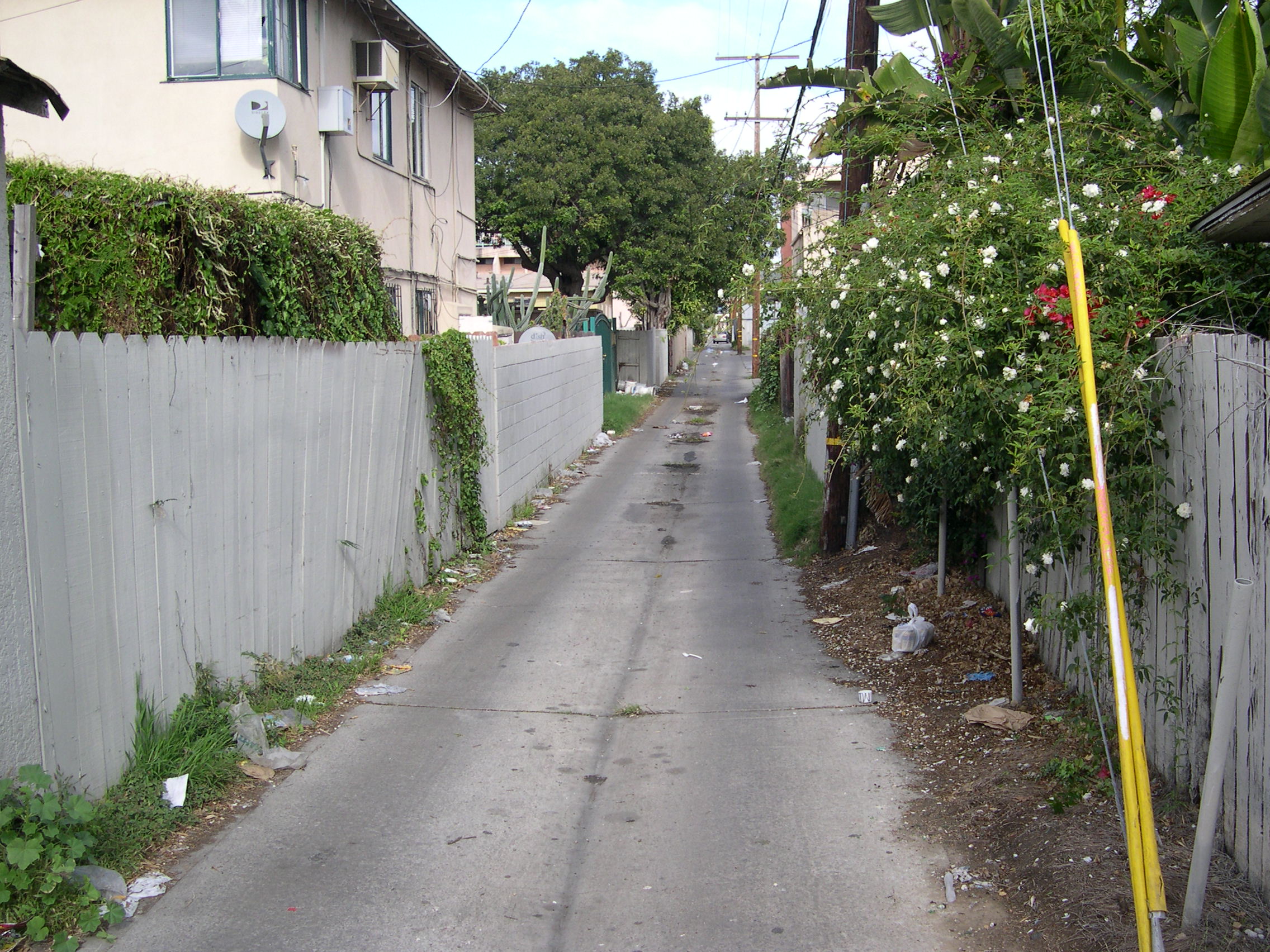 DSCN1918.JPG